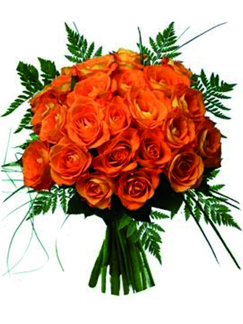 n. 24 rose arancioni