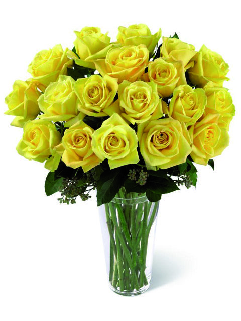 Bouquet 24 rose gialle