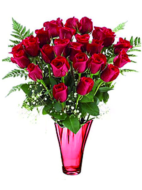24 rose a stelo lungo rosse