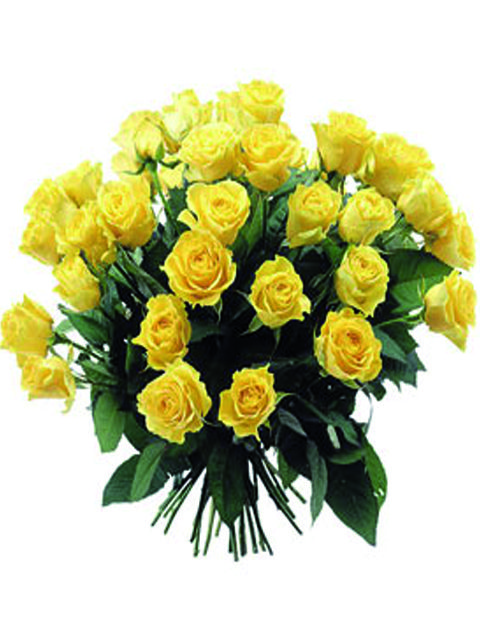 bouquet 36 rose gialle