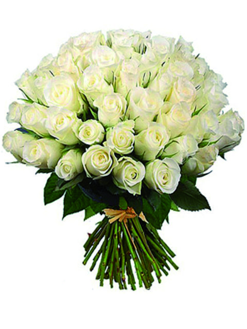 Bouquet 50 rose bianche