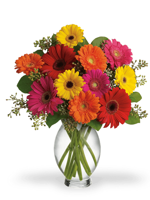 Bouquet di gerbere
