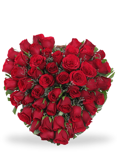 Cuore di 50 rose rosse