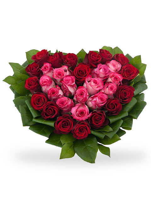 Cuore di rose rosse e rosa con verde decorativo
