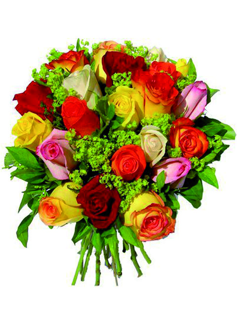 rose miste colorate