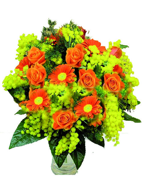 Gerbere e rose arancio con mimosa