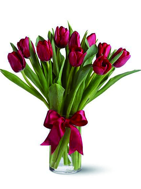 Mazzo di tulipani rossi