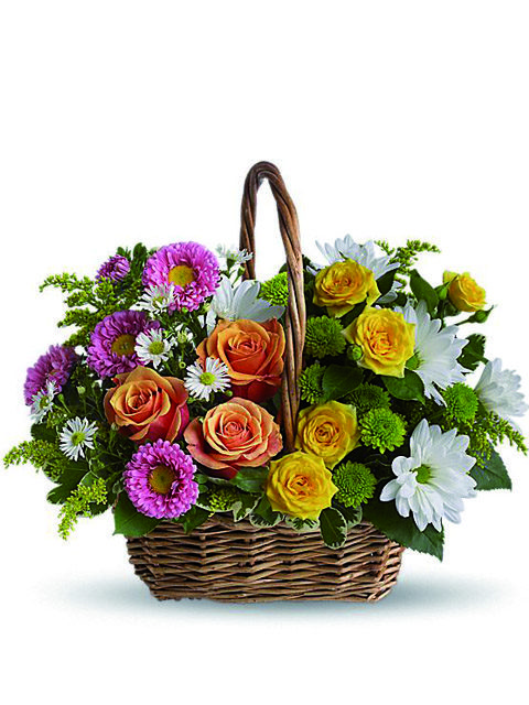 Cesto di rose e margherite dai colori vivaci