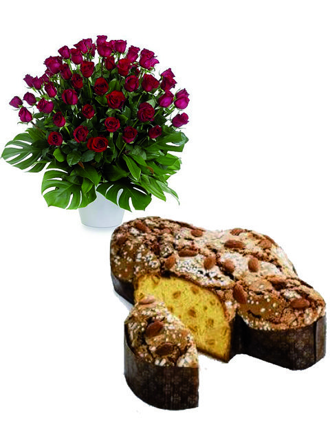 50 rose rosse e colomba
