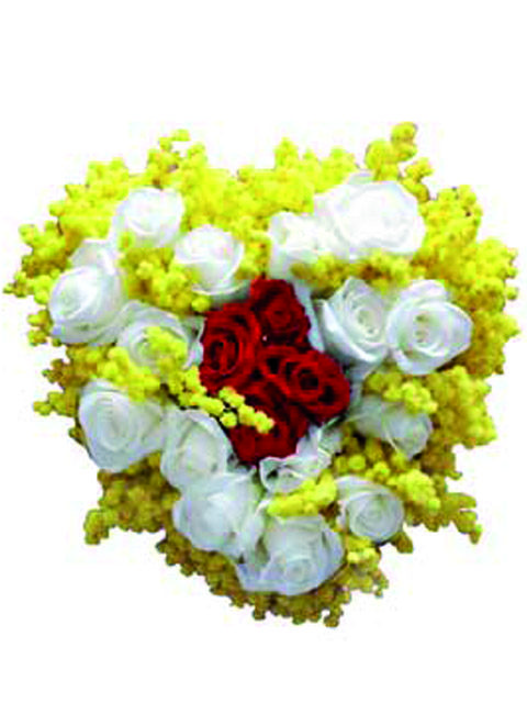 Cuore di rose rosse con mimosa