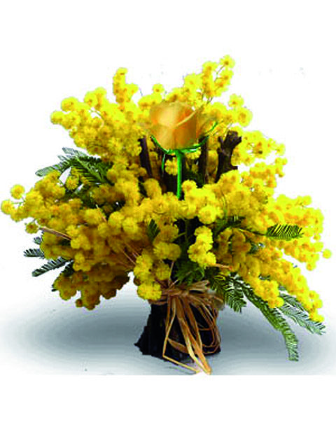 Mazzo di mimosa con una rosa gialla