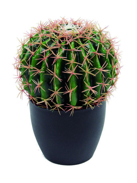 Pianta Bag Cactus