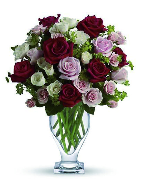 rose rosse rosa e bianche