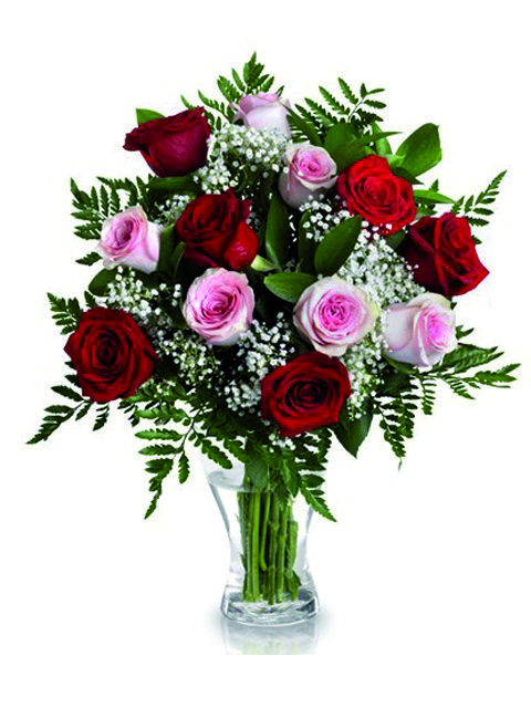 rose rosa e rosse