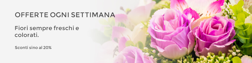 fiori in offerta online