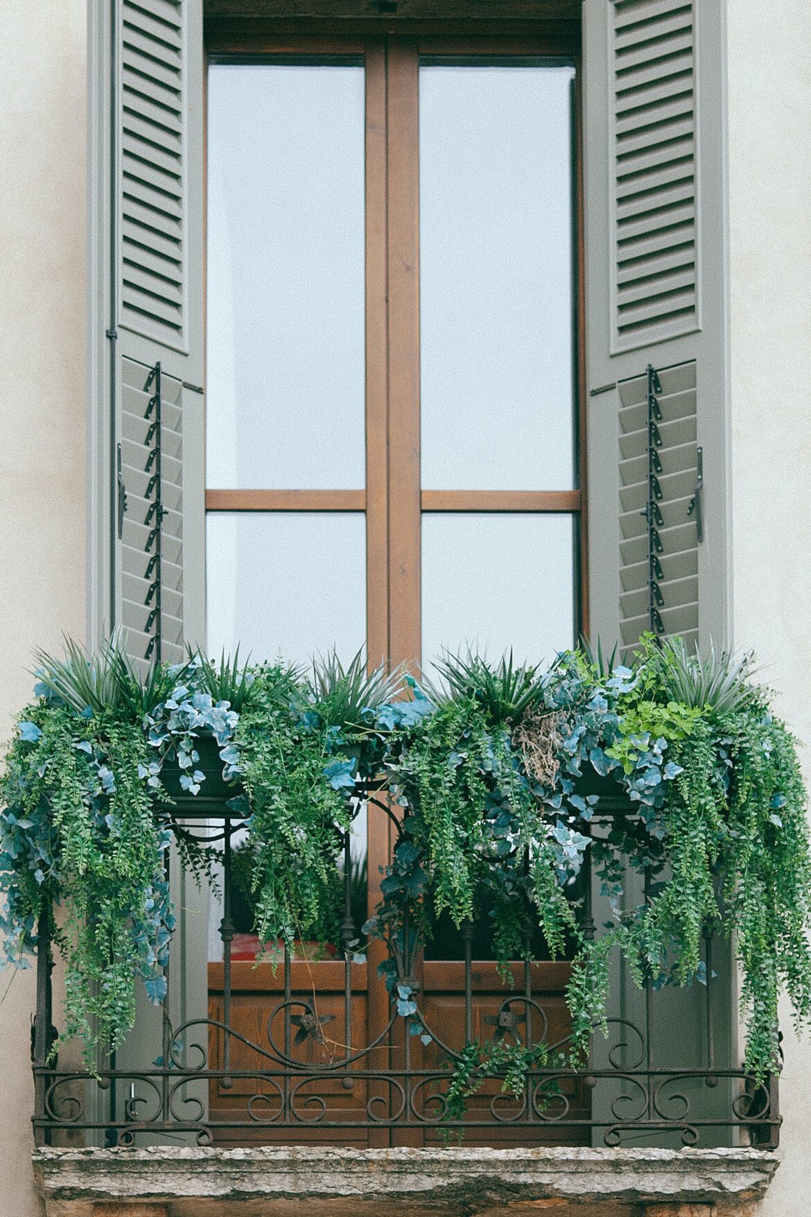 piante balcone