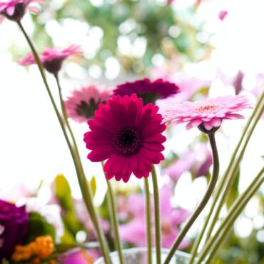 i fiori