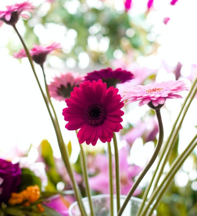 i fiori