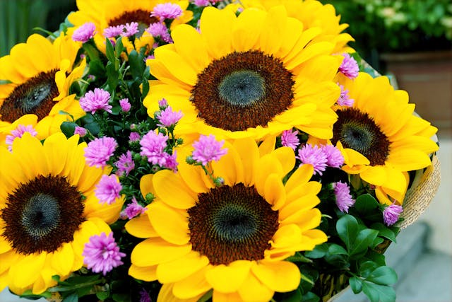 i fiori simbolo delle stagioni