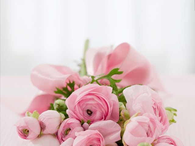 ogni fiore ha un significato