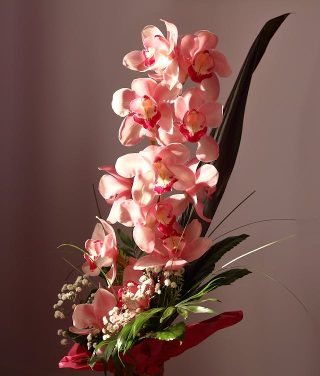 quli fiori regalare ad una cena