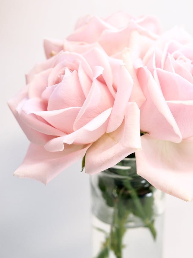bouquet raffinato in rosa