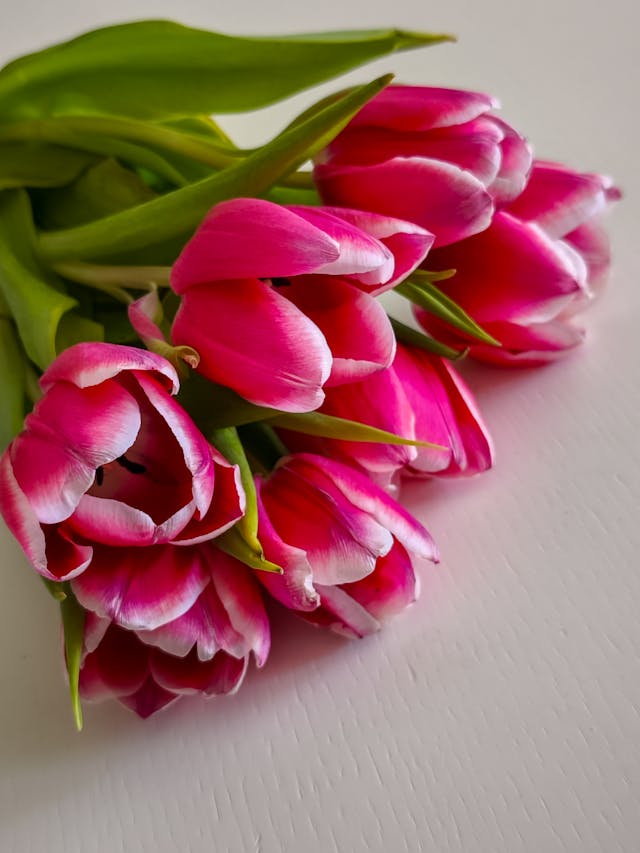 come far durare i fiori estivi
