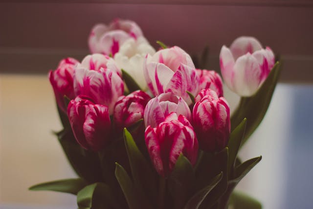 come scegliere i fiori per la festa della mamma