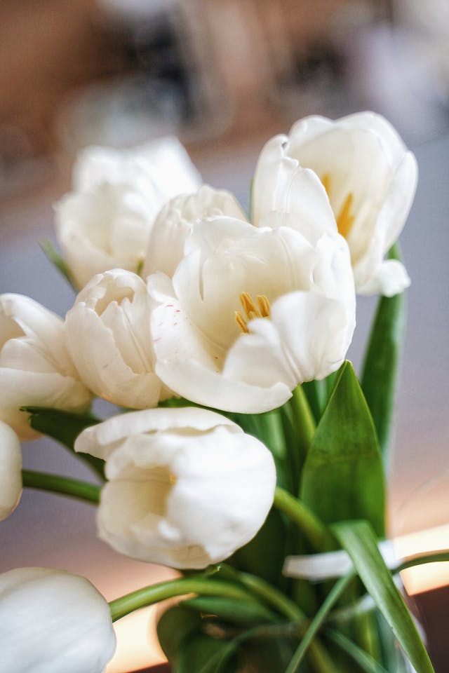 stupire con i fiori online